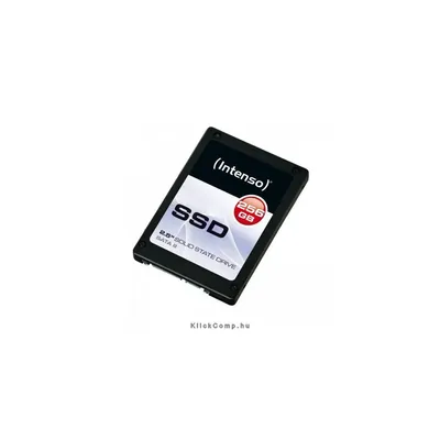 256GB SSD SATA3 : INTENSO-3812440 fotó