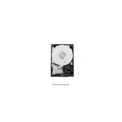 500GB 3,5" SATAIII HDD Western Digital Raid Edition 4 winchester : WD5003ABYZ fotó